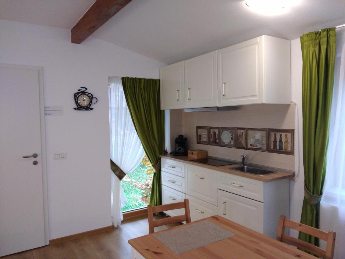 Pintea Chalet Baia-Sprie Buitenkant foto