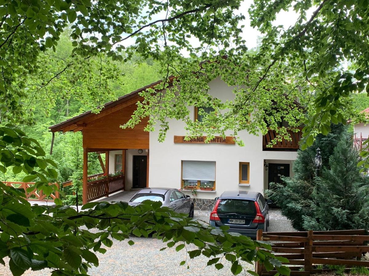 Pintea Chalet Baia-Sprie Buitenkant foto