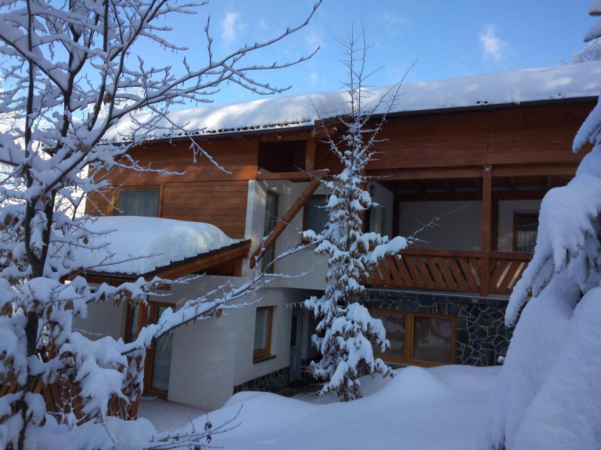 Pintea Chalet Baia-Sprie Buitenkant foto