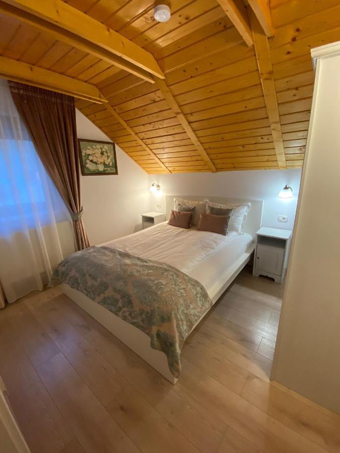 Pintea Chalet Baia-Sprie Buitenkant foto