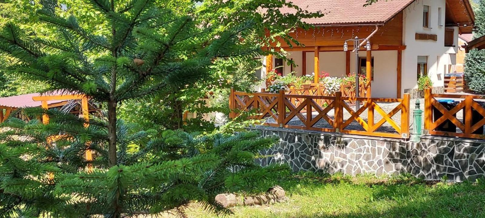 Pintea Chalet Baia-Sprie Buitenkant foto