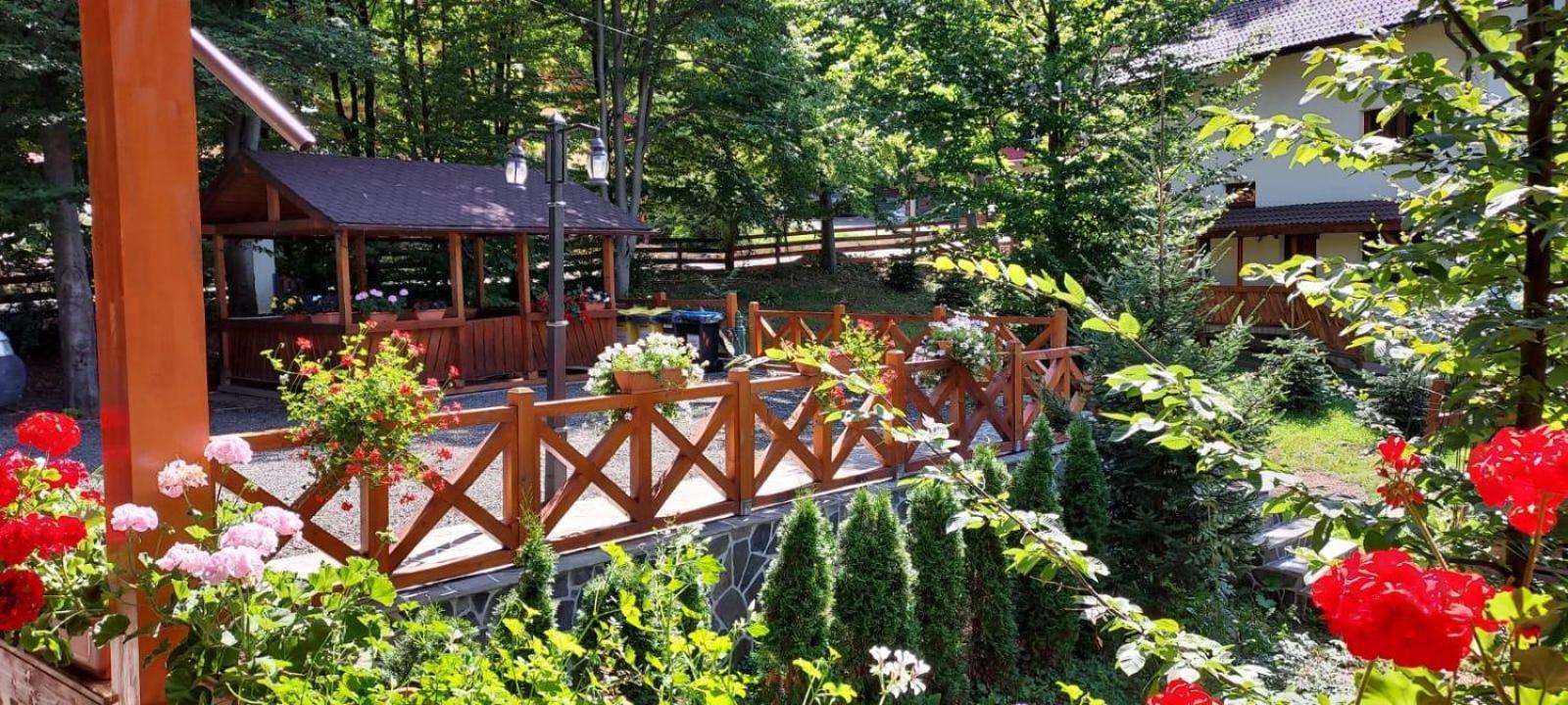 Pintea Chalet Baia-Sprie Buitenkant foto
