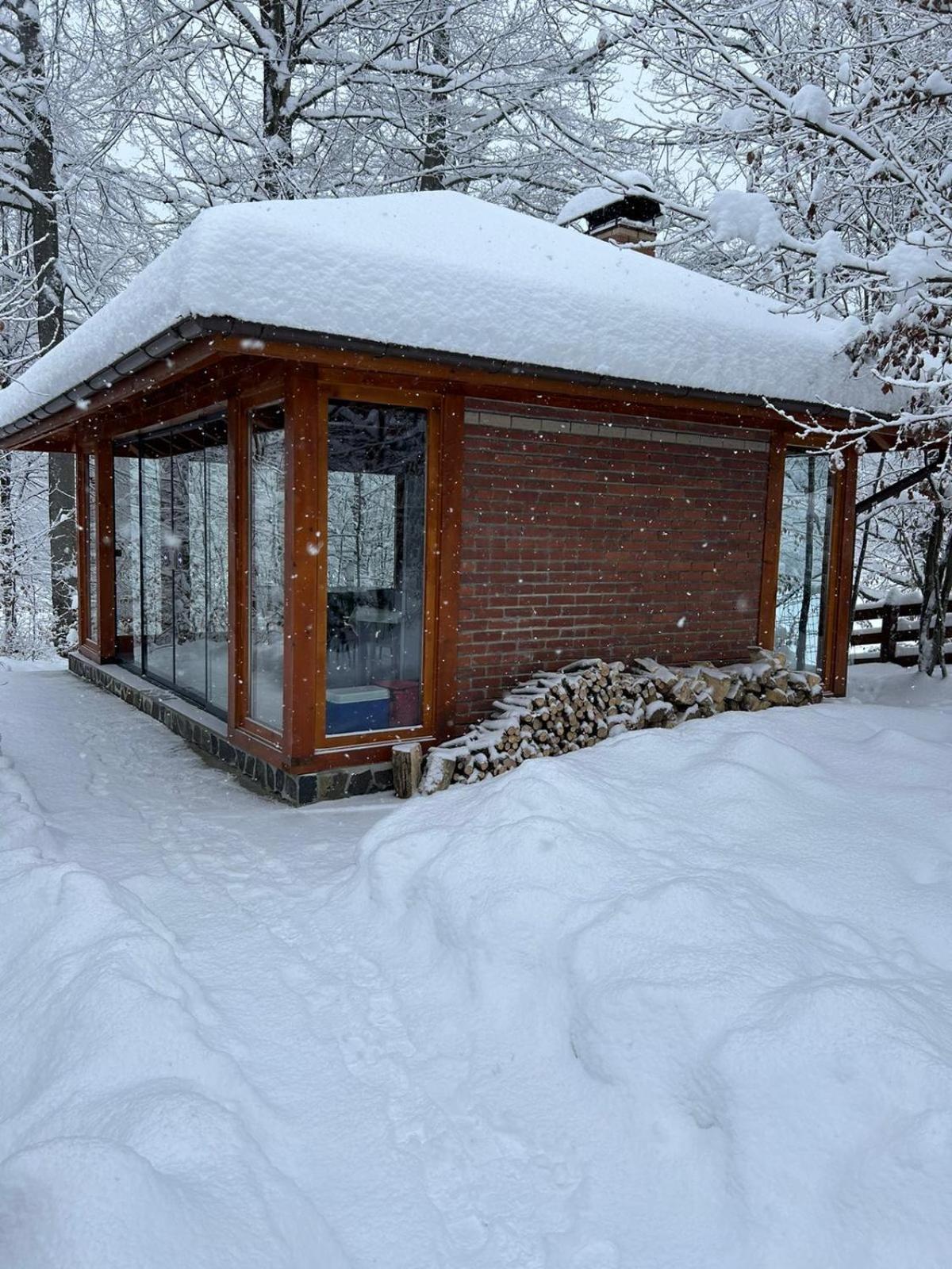 Pintea Chalet Baia-Sprie Buitenkant foto