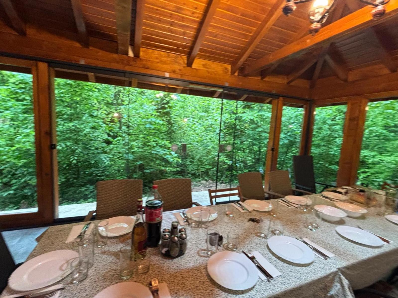 Pintea Chalet Baia-Sprie Buitenkant foto