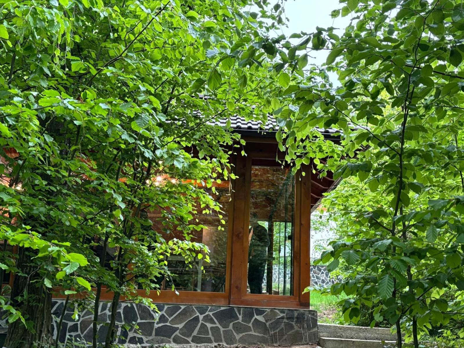 Pintea Chalet Baia-Sprie Buitenkant foto