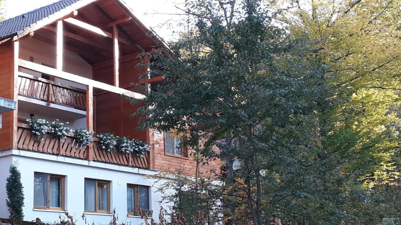 Pintea Chalet Baia-Sprie Buitenkant foto