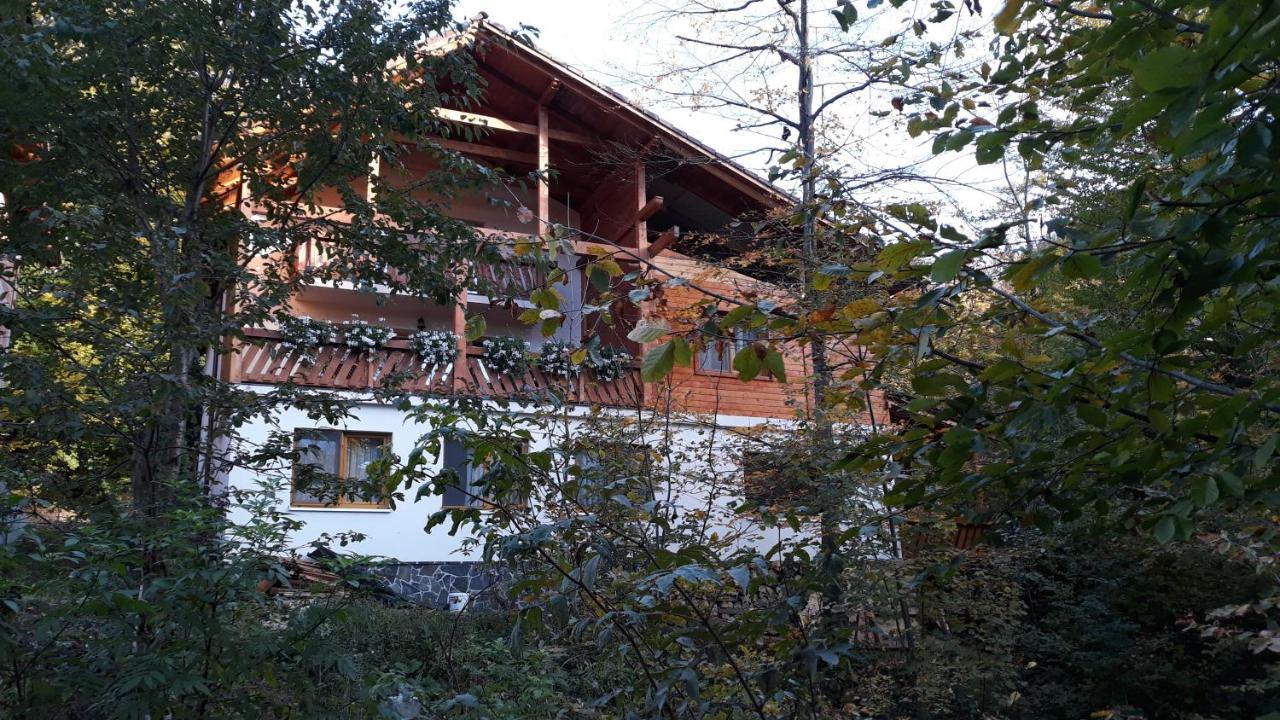 Pintea Chalet Baia-Sprie Buitenkant foto
